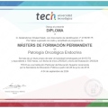 Acercar imagen: certificate 5