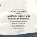 Acercar imagen: certificate 33