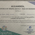 Acercar imagen: certificate 5