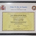 Acercar imagen: certificate 9