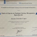 Acercar imagen: certificate 7