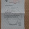 Acercar imagen: certificate 2