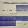 Acercar imagen: certificate 3