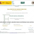 Acercar imagen: certificate 9