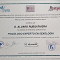 Acercar imagen: certificate 3