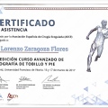 Acercar imagen: certificate 20