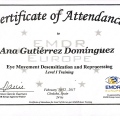 Acercar imagen: certificate 17
