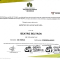 Acercar imagen: certificate 3