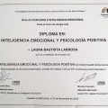 Acercar imagen: certificate 8