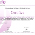Acercar imagen: certificate 130