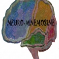 Neuro-MnemosineCartagena - 