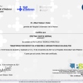 Acercar imagen: certificate 11