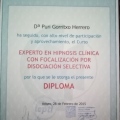 Acercar imagen: certificate 9