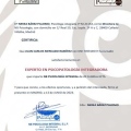 Acercar imagen: certificate 5