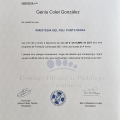 Acercar imagen: certificate 8