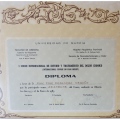 Acercar imagen: certificate 12