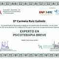 Acercar imagen: certificate 4