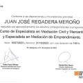 Acercar imagen: certificate 11