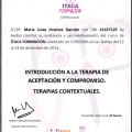 Acercar imagen: certificate 16