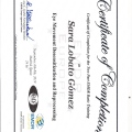 Acercar imagen: certificate 28