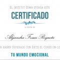 Acercar imagen: certificate 4