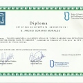 Acercar imagen: certificate 26