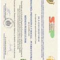 Acercar imagen: certificate 2