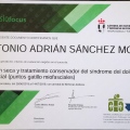 Acercar imagen: certificate 9