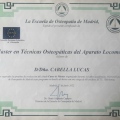 Acercar imagen: certificate 3
