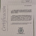 Acercar imagen: certificate 8