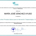 Acercar imagen: certificate 8