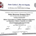 Acercar imagen: certificate 11