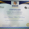 Acercar imagen: certificate 11