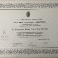 Acercar imagen: certificate 2