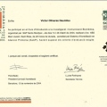 Acercar imagen: certificate 10