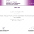 Acercar imagen: certificate 2