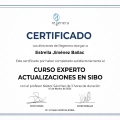 Acercar imagen: certificate 4