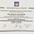 Acercar imagen: certificate 2