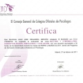 Acercar imagen: certificate 238
