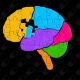 Unidad de Memoria Entrenamiento Cerebral