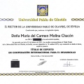Acercar imagen: certificate 1