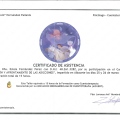 Acercar imagen: certificate 13