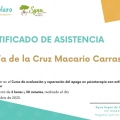 Acercar imagen: certificate 4