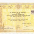 Acercar imagen: certificate 2