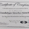 Acercar imagen: certificate 2
