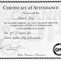 Acercar imagen: certificate 7