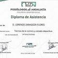 Acercar imagen: certificate 11