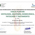 Acercar imagen: certificate 6