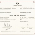 Acercar imagen: certificate 5