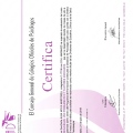 Acercar imagen: certificate 10